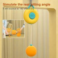 Indoor Hanging  Tennis Ball Trainer Set
